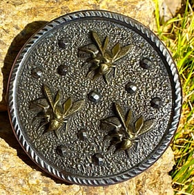 A pictorial insect steel cup button