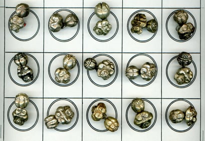 A small card of assorted Toggle Buttons