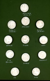 A card of assorted pictorial Zodiac buttons