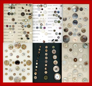 6 Cards of assorted pearl-shell buttons