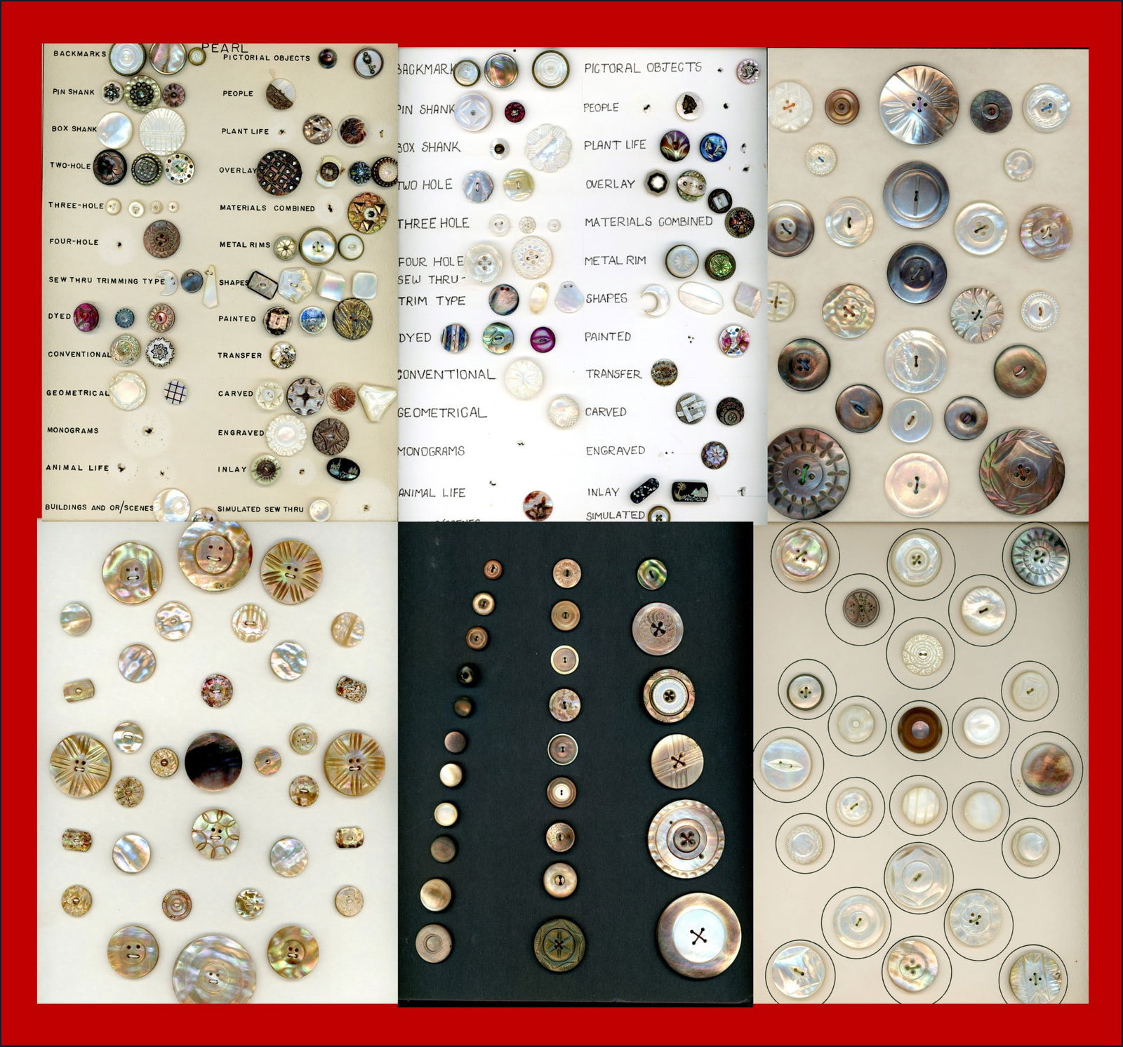 6 Cards of assorted pearl-shell buttons (1 of 7)
