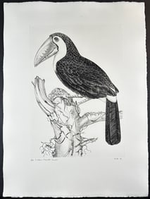 Jack Coutu (1924) Signed Etching, Sulphur Toucan