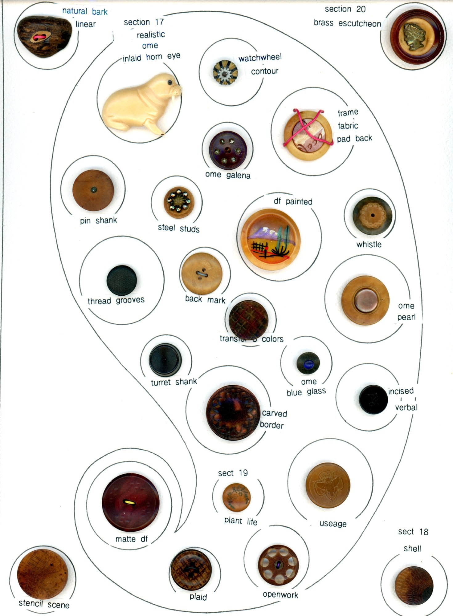 A full card of assorted Vegetable IV. Buttons: 25 Small/Medium/Large 19th-20th C. assorted examples. This card of Vegetable Iv. Buttons from the Tagua nut includes various pictorials, shapes including realistic, patterns and more. Issued: DIVISION