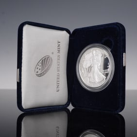 2019-W US 1oz Silver Eagle Proof OGP
