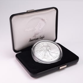 2024-W US 1oz Silver Eagle (T-2) UNC Coin OGP