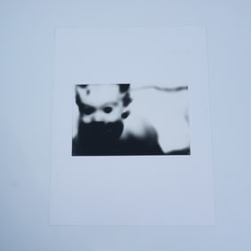 Moira Antonello, Original Gelatin Silver Photograph, Signed