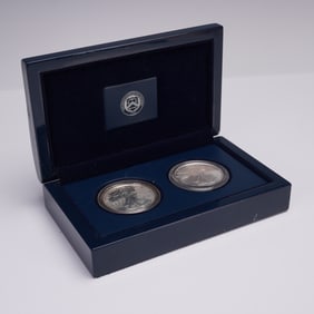 2006 American Silver Eagle 2 Coin Proof Set US Mint
