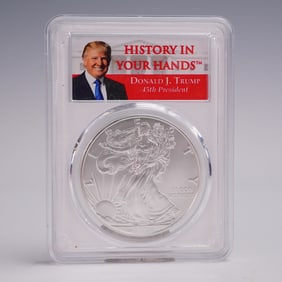 2019-W Burnished American Silver Eagle Dollar Coin PCGS Graded SP 70