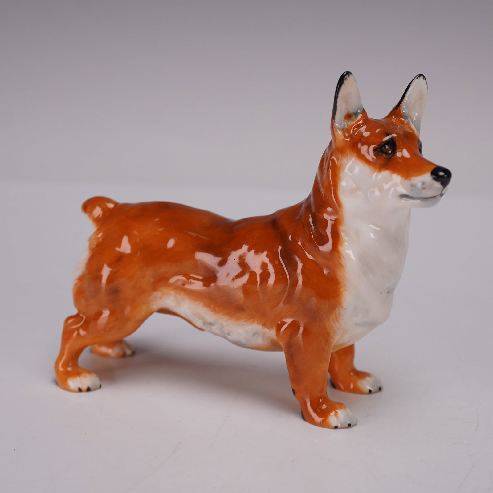Royal Doulton Figurine, Welsh Corgi HN2559: Glazed finish. Depiction of the popular royal breed of Wales, features white and golden brown colors. Royal Doulton backstamp. Artist: Frederick Daws Issued: 1941 - 1985 Dimensions: 4.25"L x 1.5"W x 3