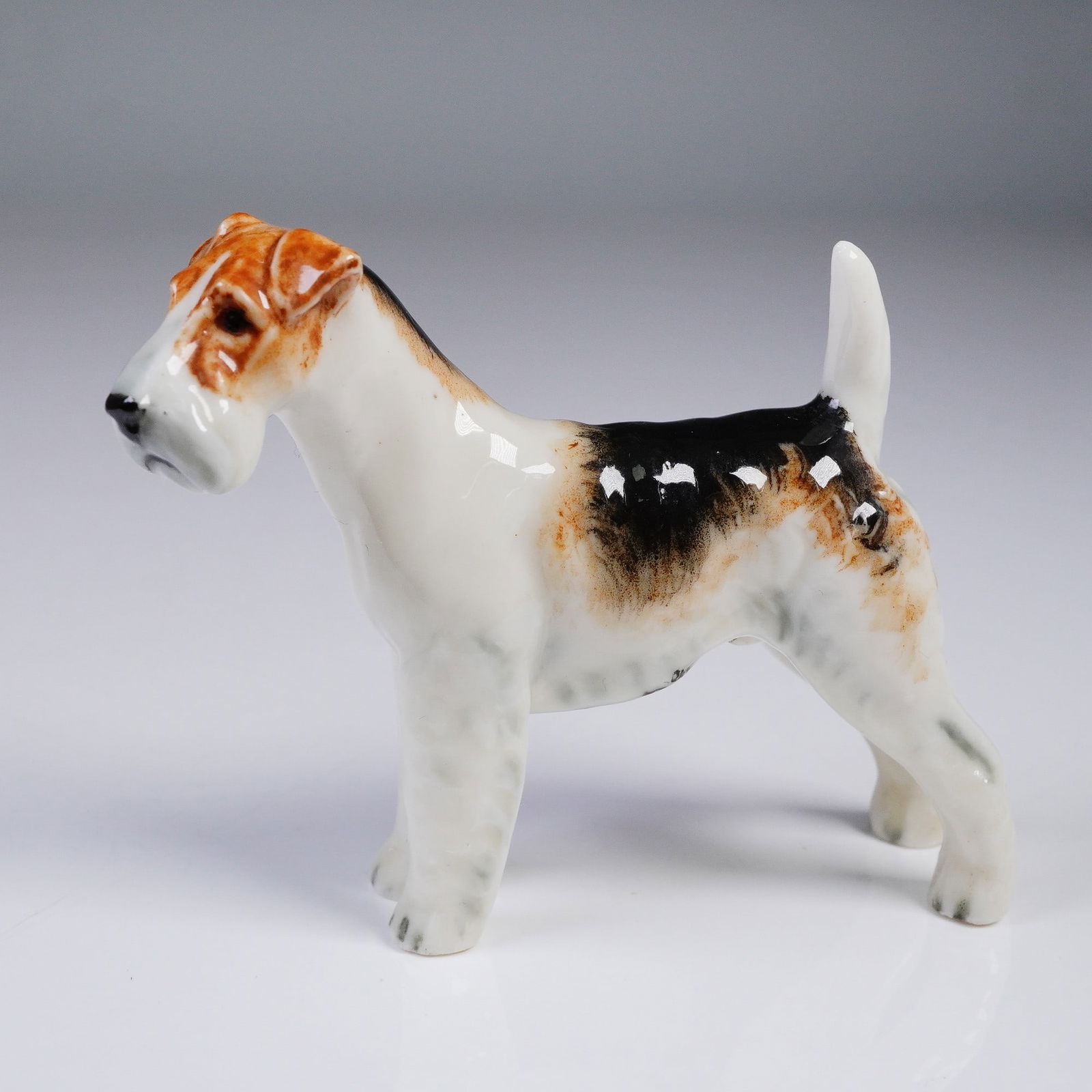 Royal Worcester Porcelain Dog Figurine, Standing Wire Haired Terrier (1 of 4)