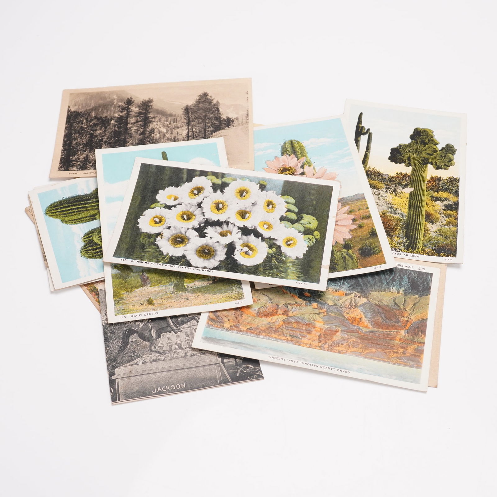 18pc Antique Chromolithography American Postcards & Advertising Cards (1 of 3)