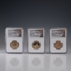 3pc American Innovation Coin Set Georgia MD NC NGC Slabbed