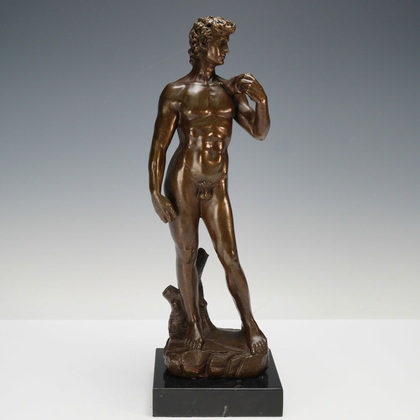 Michealangelo's David Bronze Statue (1 of 9)