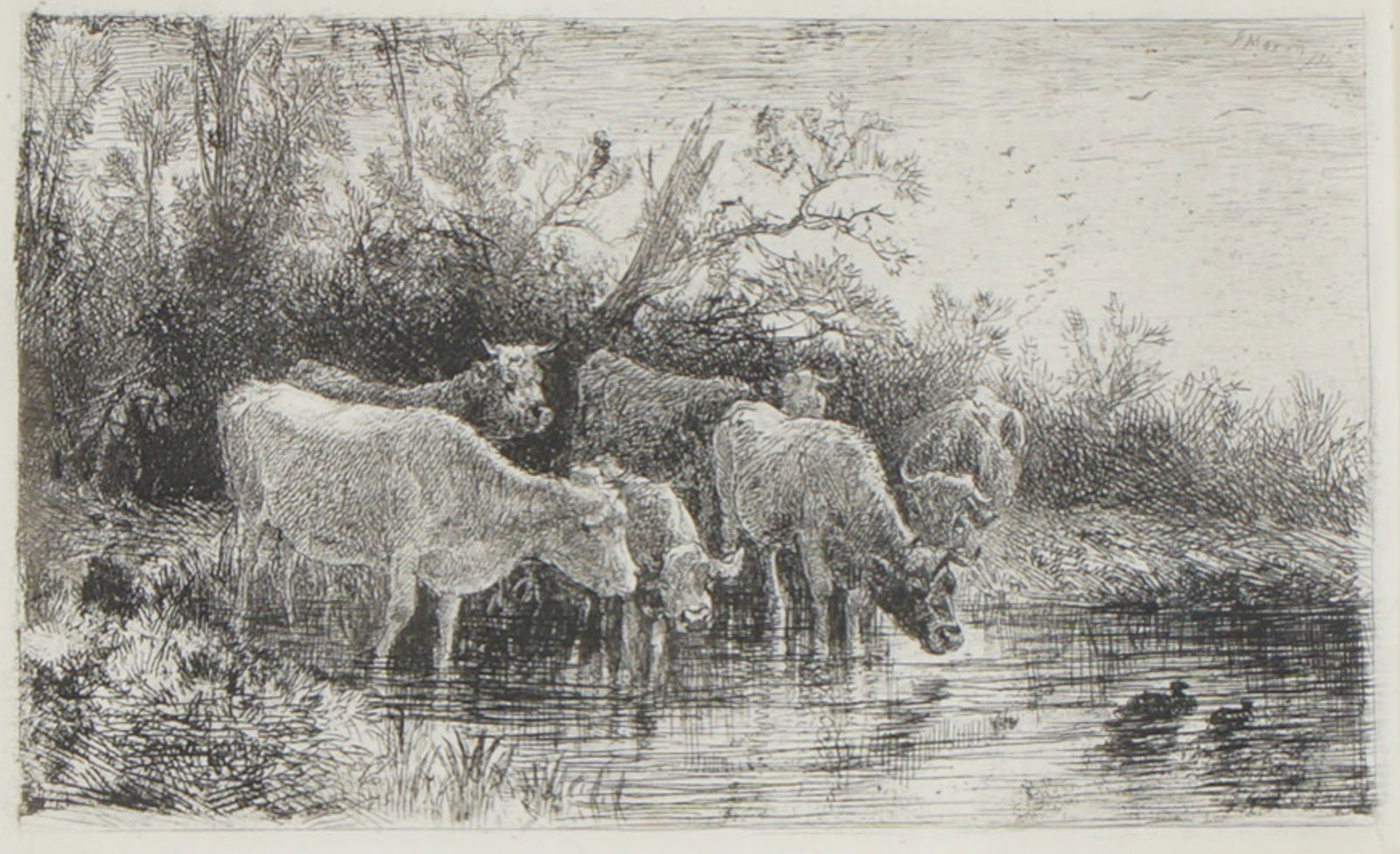 Peter Moran, Etching on Paper, Cattle at the Water Edge, Signed: An original 1874 etching by American artist Peter Moran, titled Cattle at the Water's Edge. This delicately executed pastoral scene features a group of cattle gathered at a quiet stream, framed by den