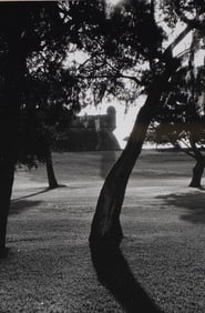 Black and White Landscape Photograph by Gili Lochner, Framed