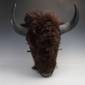 Mounted American Bison Head Taxidermy