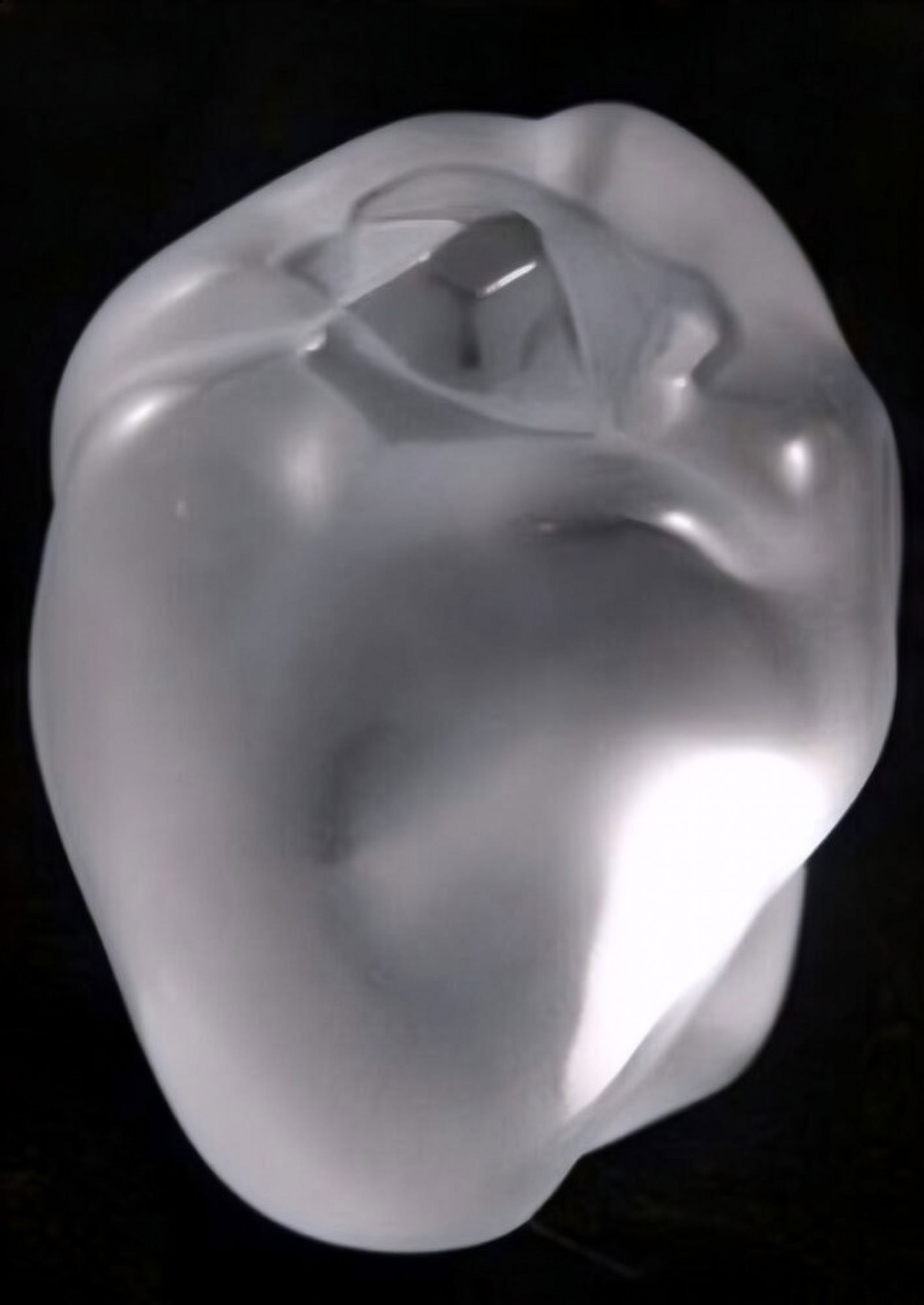 Lalique Crystal Paperweight, Pepper, Sealed Box: A crystal paperweight modeled as a pepper. This sculptural work exhibits the interplay of frosted and clear crystal, with the pepper form emerging in stylized finish. Model no. 1169600. Presented in i