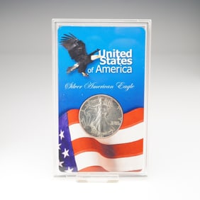 1991 Silver American Eagle, in American Eagle Program Display