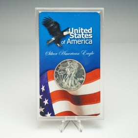 1999 Silver American Eagle, in American Eagle Program Display