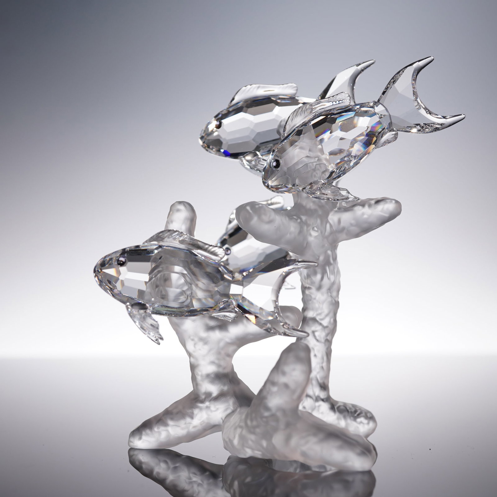 Swarovski Crystal Figurine, School of Fish: A striking Swarovski crystal figurine depicting a lively school of fish darting through coral. This exquisite piece features four faceted clear crystal fish with finely detailed tails and fins, set ag