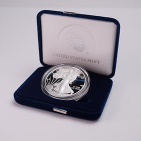 2020-W United States Mint American Silver Eagle Type 1 Proof Dollar Coin