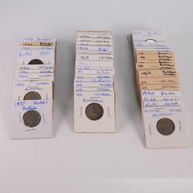 53pc U.S. Buffalo Nickel Collection Loose Group
