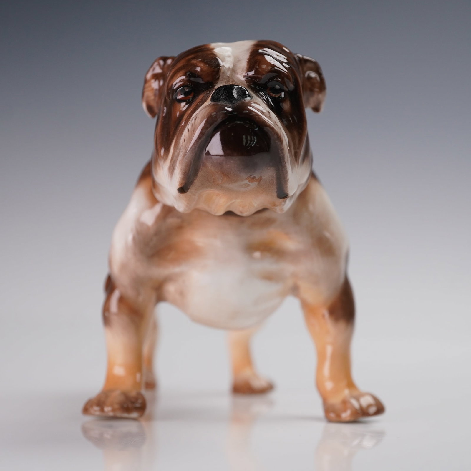 Royal Doulton Figurine, Bulldog HN1047: A finely crafted bone china figurine depicting a bulldog standing four-square with a broad chest and characteristic wrinkled features for the breed. Finished in a brown and cream glaze with a high-glo