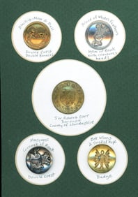 A small card of division one Livery Buttons