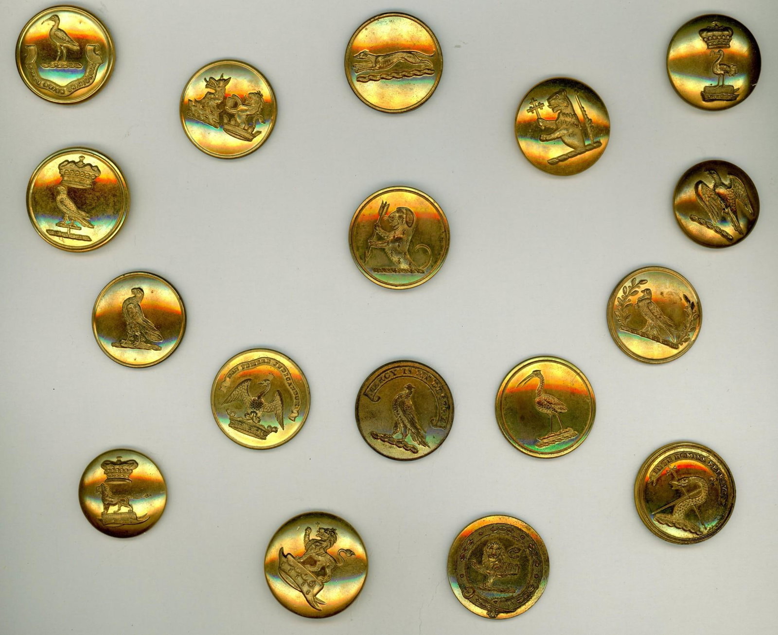 A small card of division one livery buttons: 17 Medium size 19th century specialized to crests in brass. This lot includes a variety of animals and includes some doubles. All are in very wonderful condition and have not been seen almost since th
