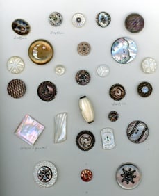 A card of division one and three assorted shell buttons