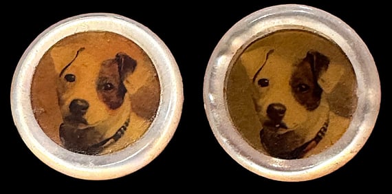 A pair of division one "Waistcoat" buttons