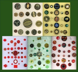 5 Cards of division three plastic buttons