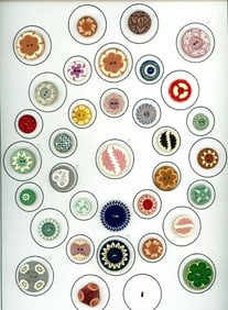 A card of division three celluloid buttons