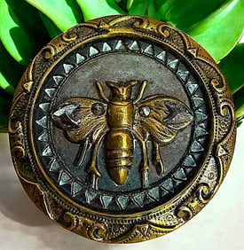 A division one brass pictorial insect button
