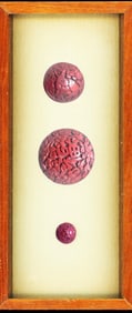 A small card of division one Cinnabar buttons