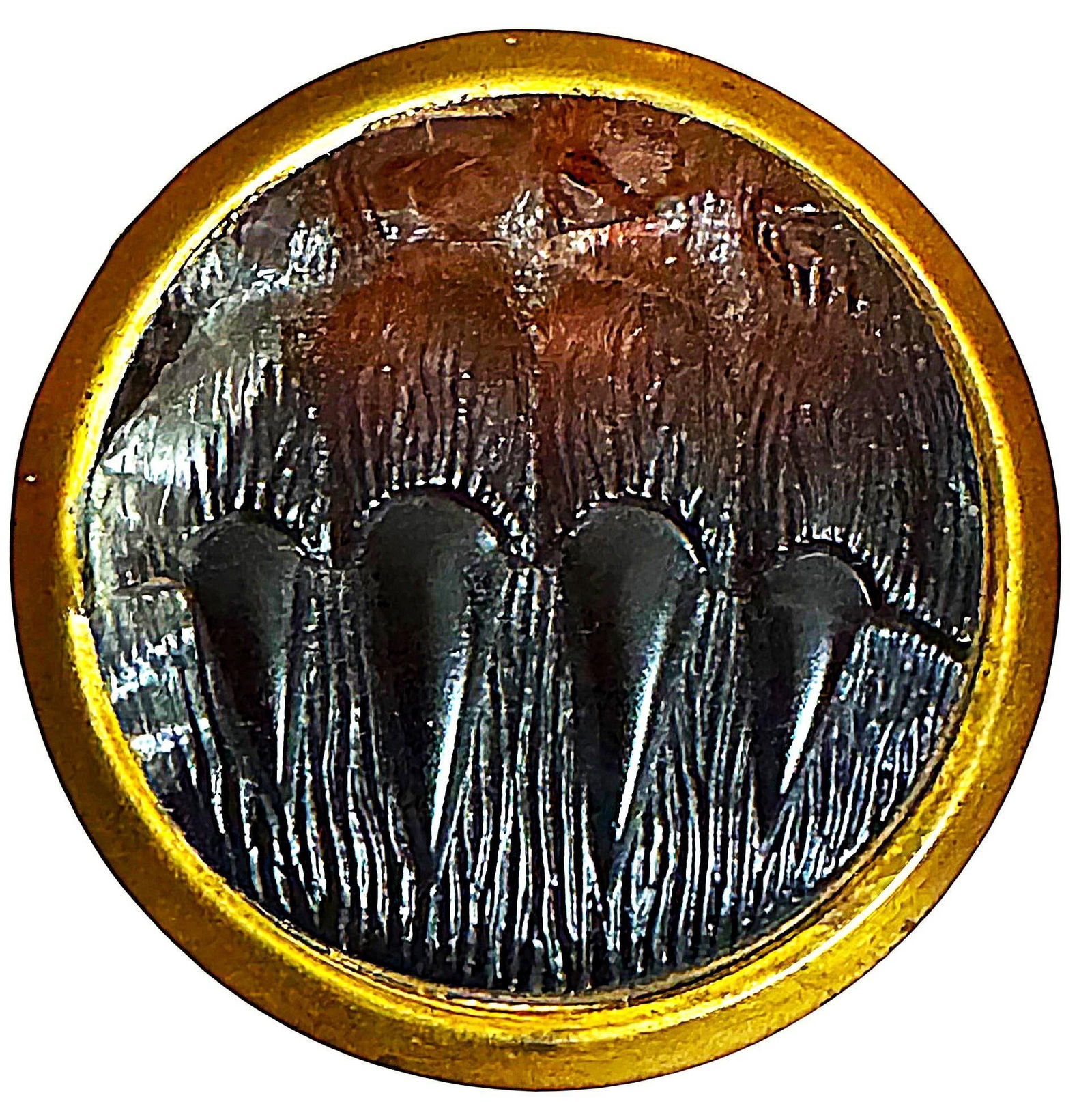 A division one glass in metal pictorial button: 1 Large size 19th century molded glass claw example. Here is a clear and colored glass bear claw. The glass set in metal was created to imitate real tortoise shell. A great and cool button. Issued: DI