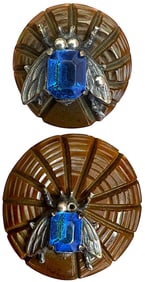 A small card of division three pictorial insect buttons