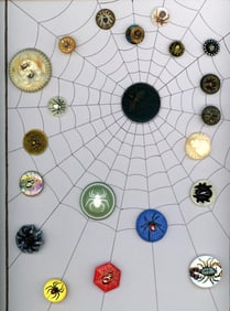 A card of division one assorted spider buttons