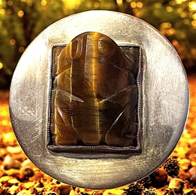 A division three gemstone in silver button