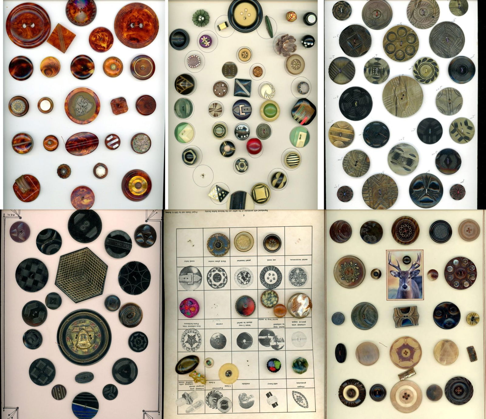 A box lot of several cards of assorted buttons (1 of 7)