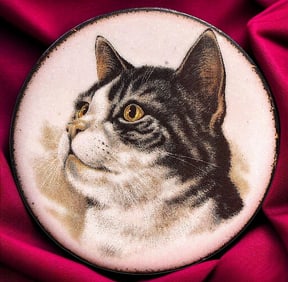 A division three studio artist CAT button