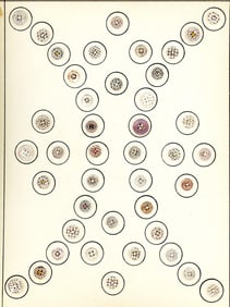A card of division one china buttons