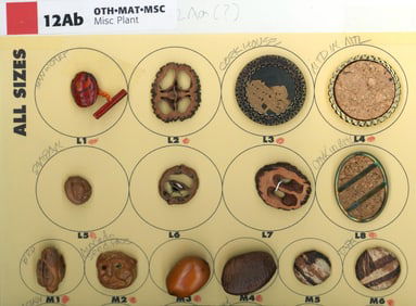 A partial card of div. 1 & 3 assorted earthy buttons