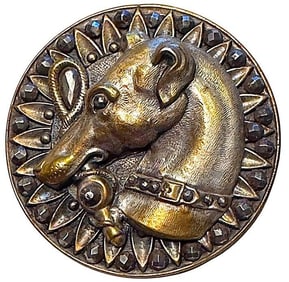 A division one brass and steel dog button