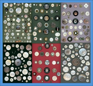 A box lot of assorted shell carded buttons