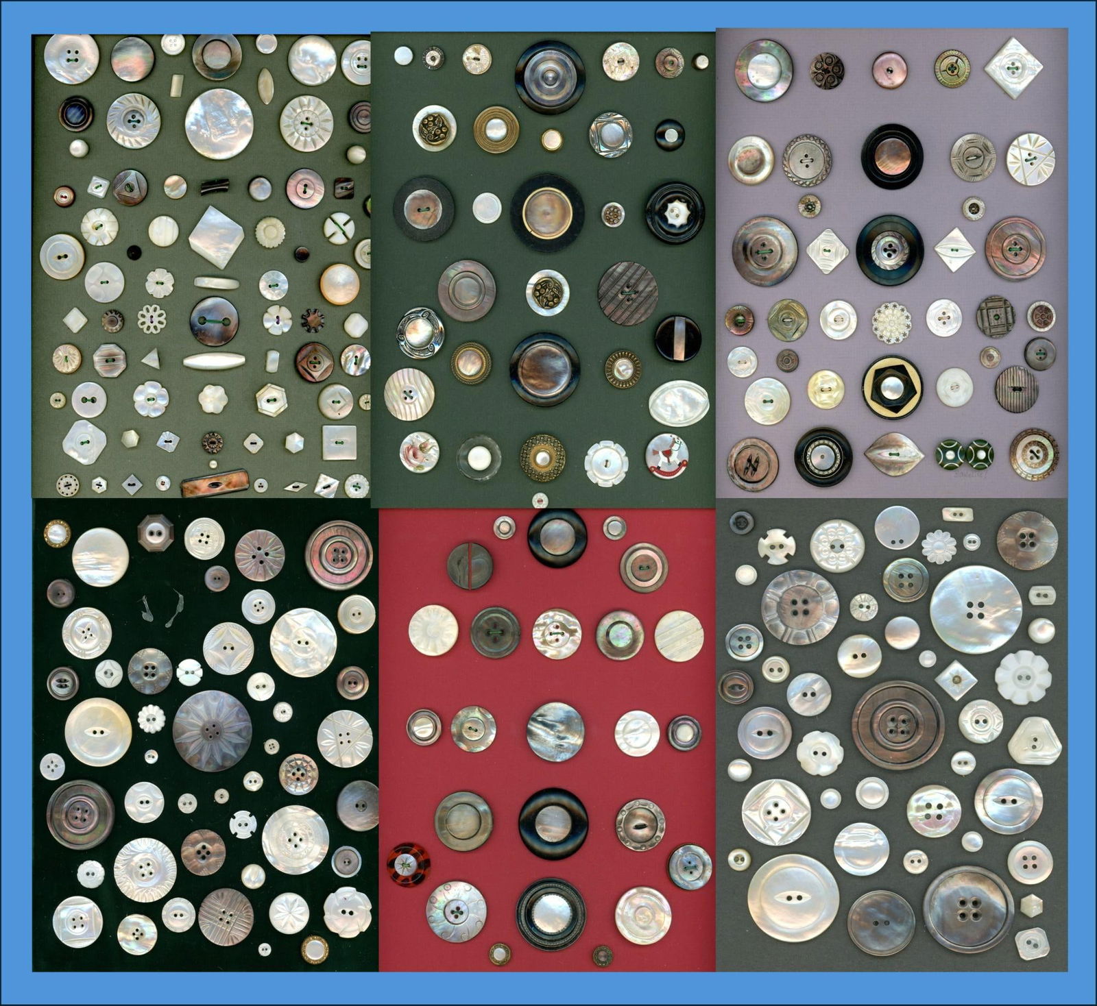 A box lot of assorted shell carded buttons (1 of 7)