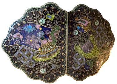 A division one 2 piece colorful buckle