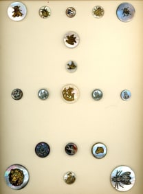 A card of division one pearl pictorial buttons