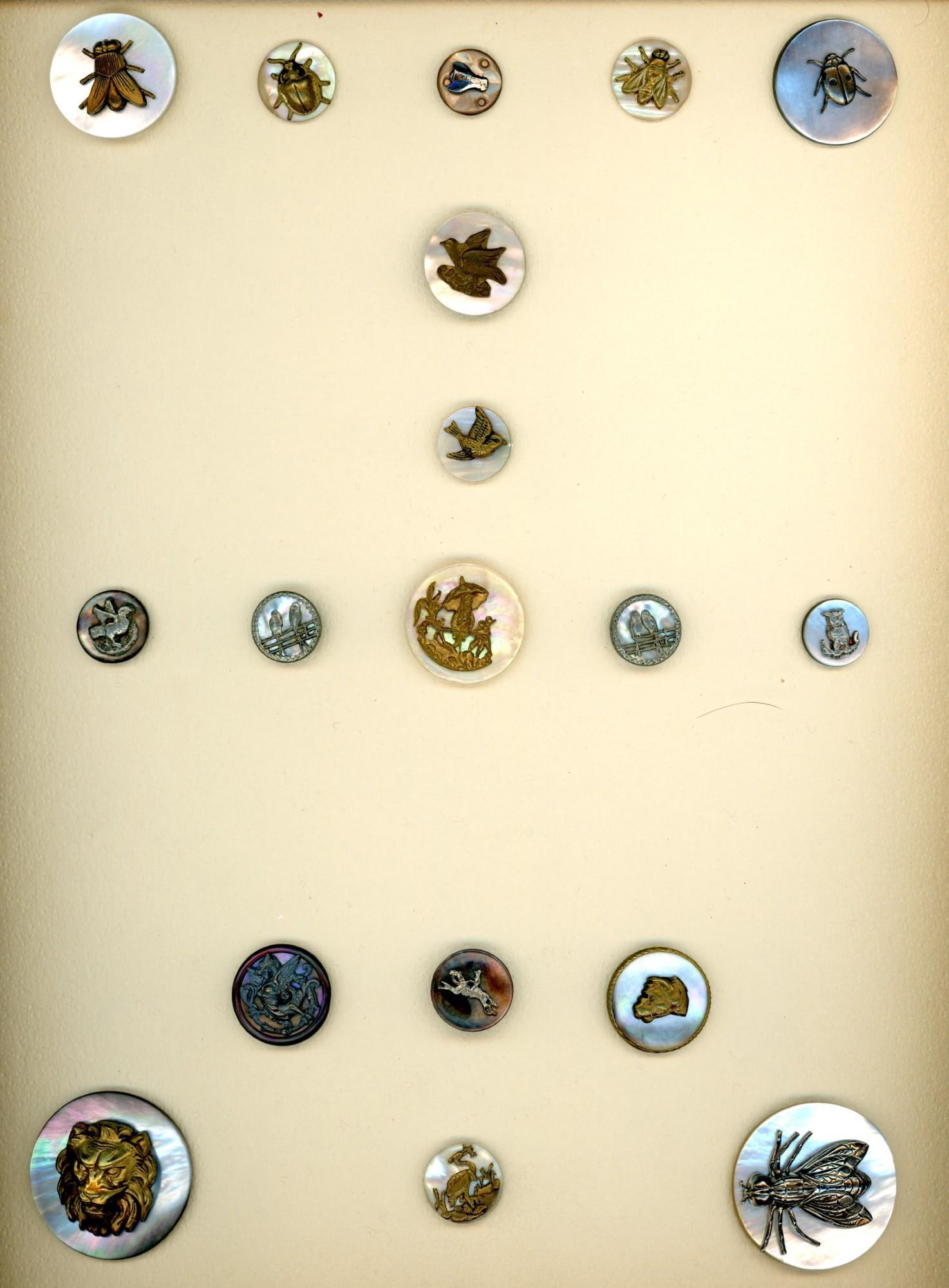 A card of division one pearl pictorial buttons (1 of 4)