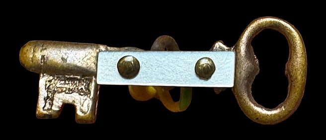 A division one realistic brass and pearl button